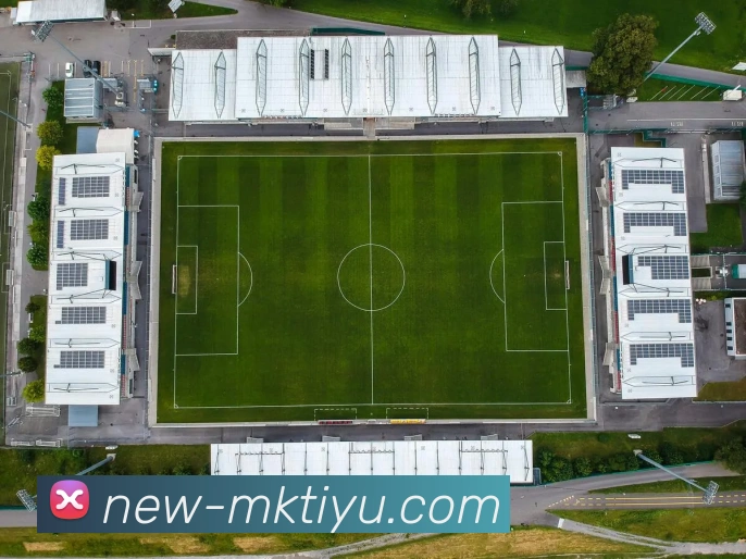 App Interface Preview