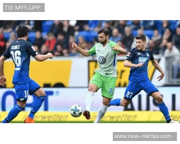 德甲前瞻：狼堡主场难敌霍芬海姆汉堡客场力争全身而退